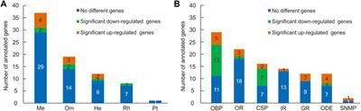 Differential gene expression patterns between the head and thorax of Gynaephora aureata are associated with high-altitude adaptation